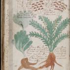 The Beinecke Library / Yale Library