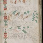 The Beinecke Library / Yale Library