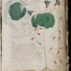 The Beinecke Library / Yale Library