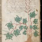 The Beinecke Library / Yale Library