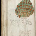 The Beinecke Library / Yale Library