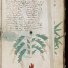 The Beinecke Library / Yale Library