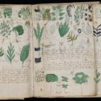 The Beinecke Library / Yale Library