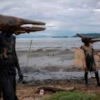 5e529a7723000026070befdd