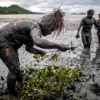 5e529739230000a906ddd5bc