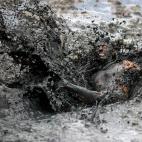 5e52973e230000fc0739c18b