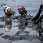 5e5297352600000d0ab5f916