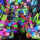 5c8b5bcd360000e01c6ce14f