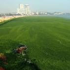 5c8b688d2300005400e81f1b