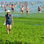 5c8b688f230000d50424a8d4