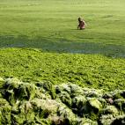 5c8b688f3b000054066d83af