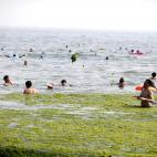 5c8b688f22000030001ad54d