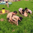 5c8b6890240000f404a4a438