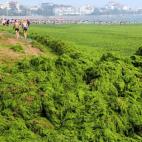 5c8b6891240000f7054d67bc