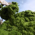 5c8b6891240000f7054d67bf