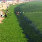 5c8b68922400006b054d67c1