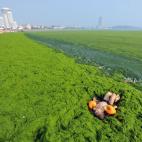 5c8b6892360000a61b6d0269