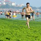 5c8b68933b000070066d83bd