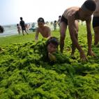 5c8b6894250000e203ca97c8