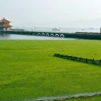 5c8b6895250000e203ca97ce