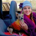 Si hay una chica pija con un chiguagua... americanada.