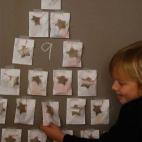 Vía escarabajosbichosymariposas.com