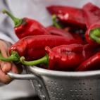 Pimiento Sweet Palermo.