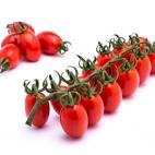 Tomate cherry Lobello.