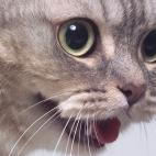 5c8a7d5d240000f404a32457