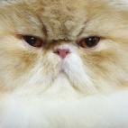 5c8a7d5e360000ba1a6b895c