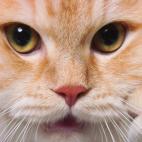 5c8a7d643b000037066c09c2