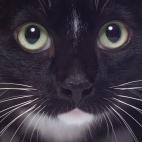 5c8a7d642500001304c91a7f