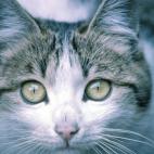 5c8a7d652300000401232a3b