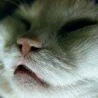 5c8a7d65230000d504232a3d