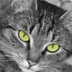 5c8a7d662000009d036f376f