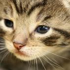 5c8a7d672300007f01232a42