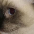 5c8a7d6720000043046f3773