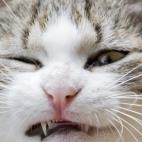 5c8a7d683b000037066c09cb