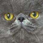 5c8a7d69360000a61b6b896c