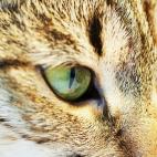 5c8a7d69360000ba1a6b896e