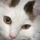 5c8a7d69250000e203c91a8d