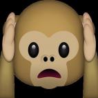 5c8ab2012500000d04c9788d