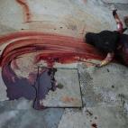 5c8ae9ad2300005300e760a6