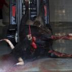 5c8ae9ae2500001304c9d9c6