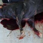 5c8ae9af2500000d04c9d9c9