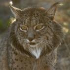 5c8b116c2500000704c9f834