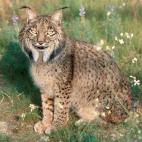 5c8b116d24000093024cc738