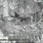 5c8b116e360000ba1a6c63be