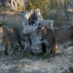 5c8b116e22000030001a3487