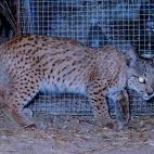 5c8b116f2300002f00e77f7c